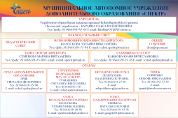 Структура МАУ ДО "СПЕКТР"